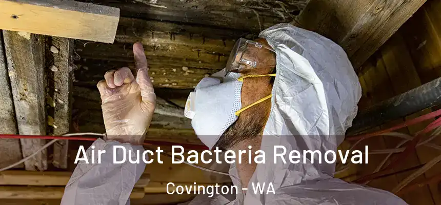  Air Duct Bacteria Removal Covington - WA