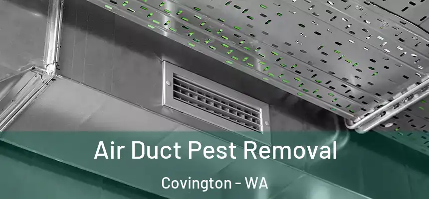  Air Duct Pest Removal Covington - WA