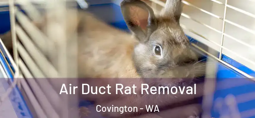  Air Duct Rat Removal Covington - WA