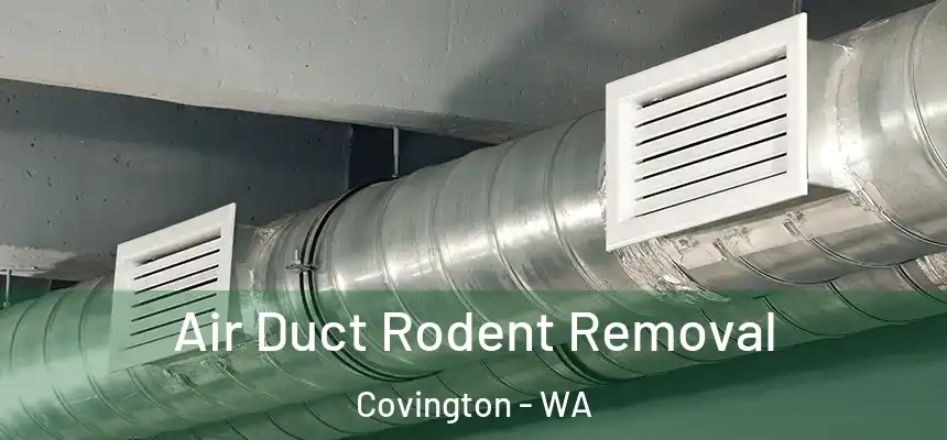  Air Duct Rodent Removal Covington - WA