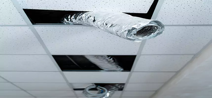 Our Air Duct Pet Hair Removal Services in Covington, WA