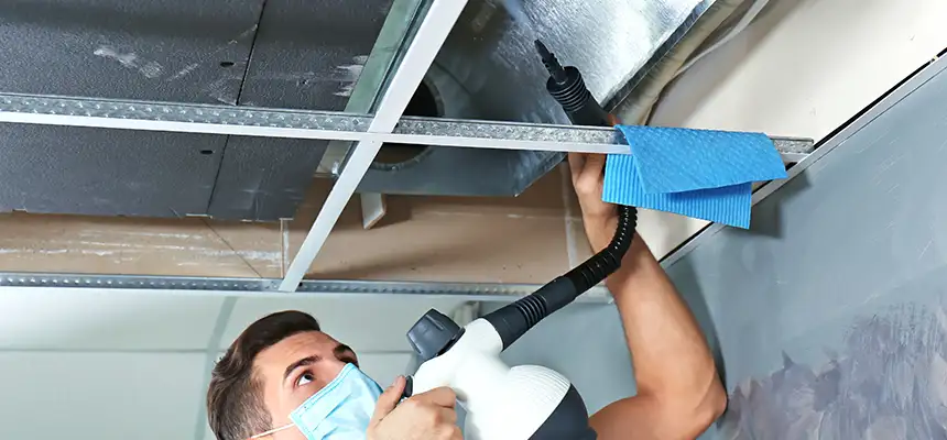 Our Air Duct Rodent Removal Services in Covington, WA
