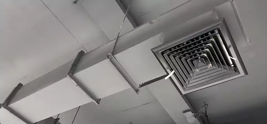 Our Rodent Droppings In Vents Services in Covington, WA