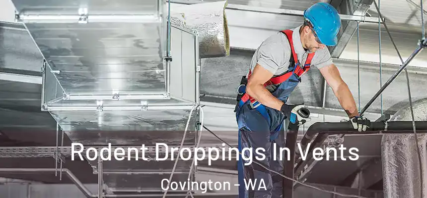  Rodent Droppings In Vents Covington - WA