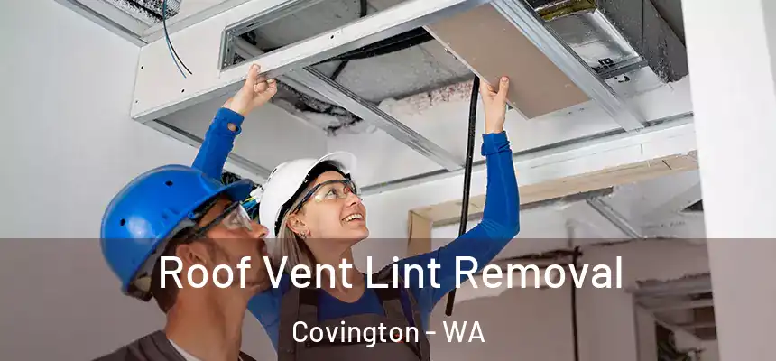 Roof Vent Lint Removal Covington - WA