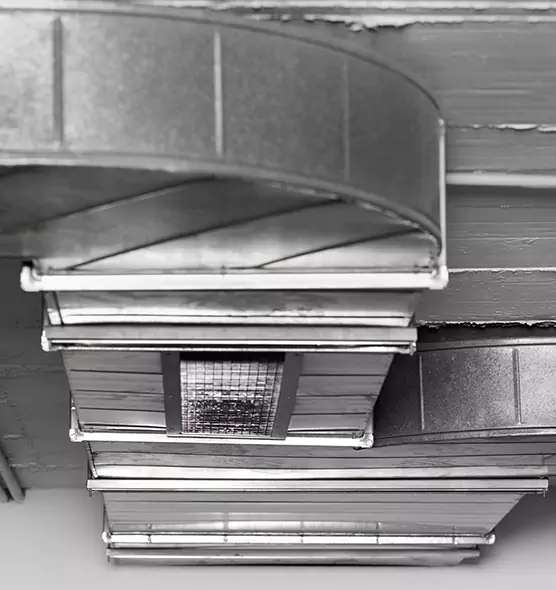 Professional Air Duct Pest Removal in Covington, WA