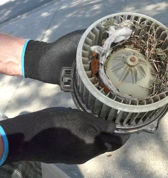 About Air Duct Rat Removal in Covington, WA