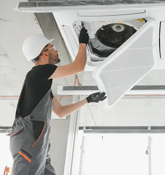 About Air Duct Rodent Removal in Covington, WA