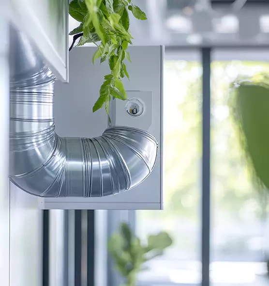 Professional Eco-Safe Dryer Vent Cleaning in Covington, WA