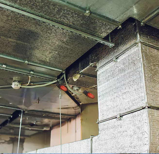 Why Homeowners & Businesses Trust Us in Covington, WA?