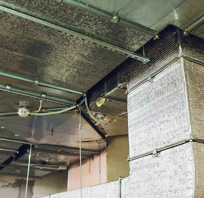 Why Homeowners & Businesses Trust Us in Covington, WA?